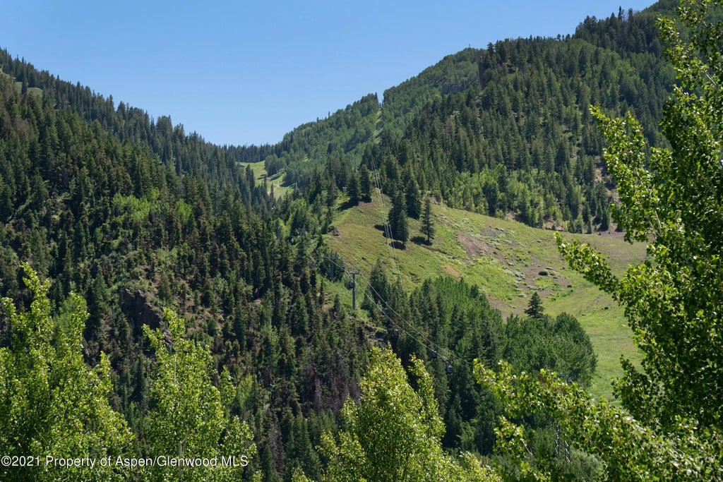 23 of 26 - 715 E Hopkins Avenue, Aspen, CO