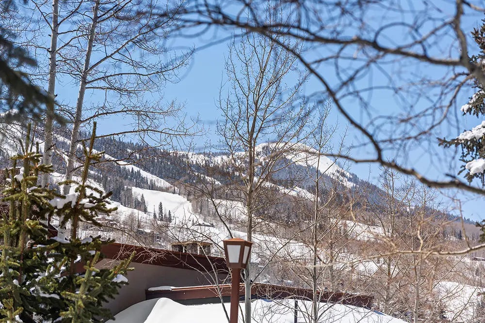 17 of 23 - 800 Ridge Road #13, Snowmass Village, CO