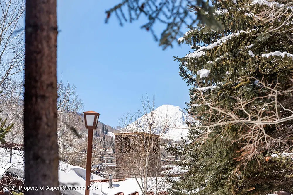 18 of 23 - 800 Ridge Road #13, Snowmass Village, CO