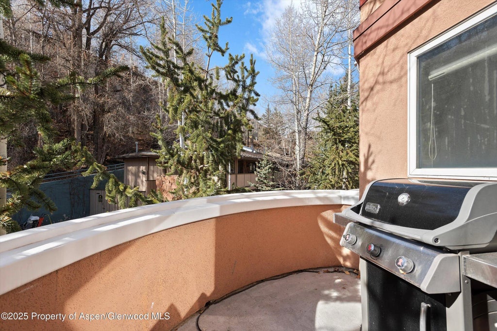 19 of 21 - 777 Ute Avenue #6, Aspen, CO