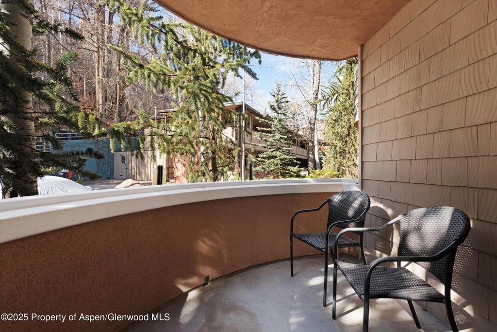 20 of 21 - 777 Ute Avenue #6, Aspen, CO