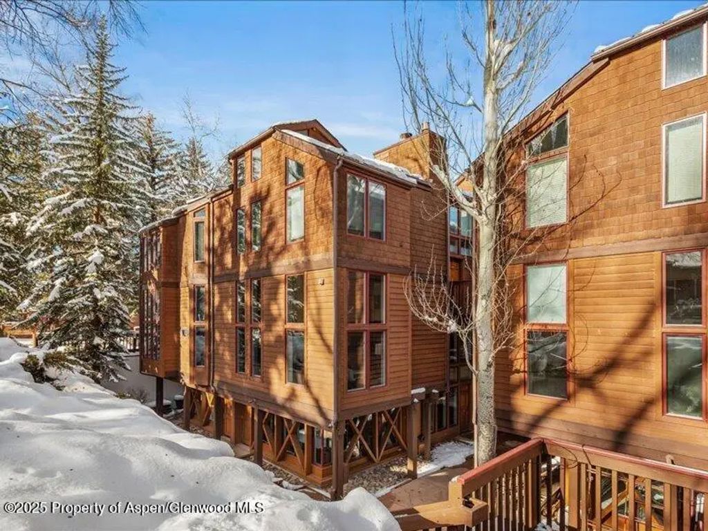 14 of 17 - 900 E Durant Avenue B-105, Aspen, CO