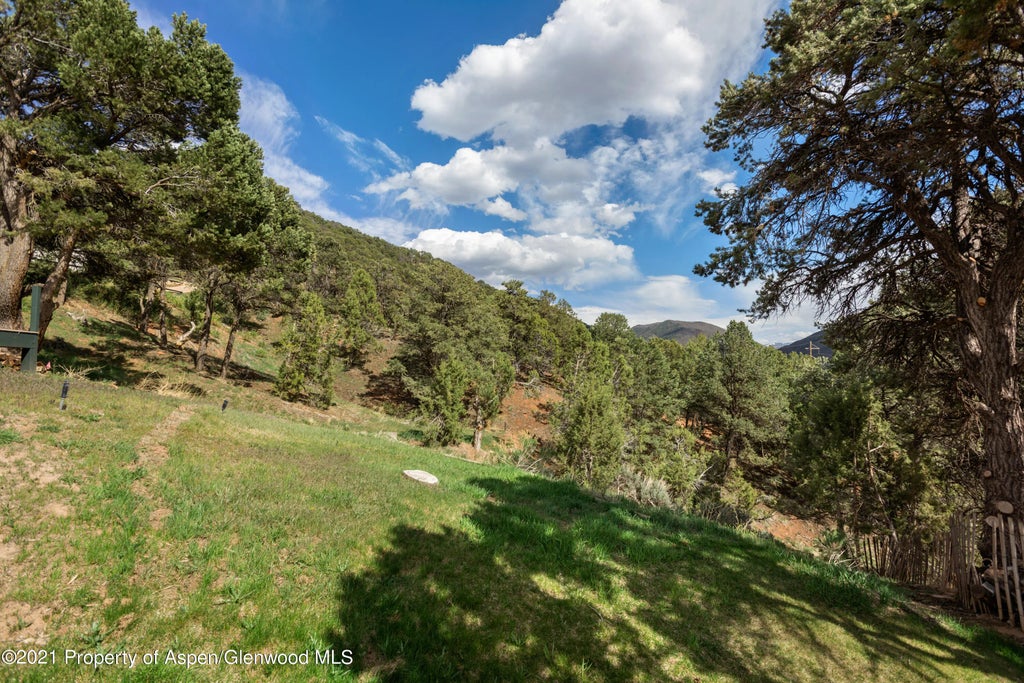 18 of 18 - 561 Booth Lane, Basalt, CO