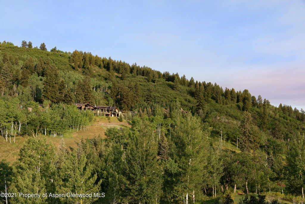 38 of 49 - 651 Pfister Drive, Aspen, CO