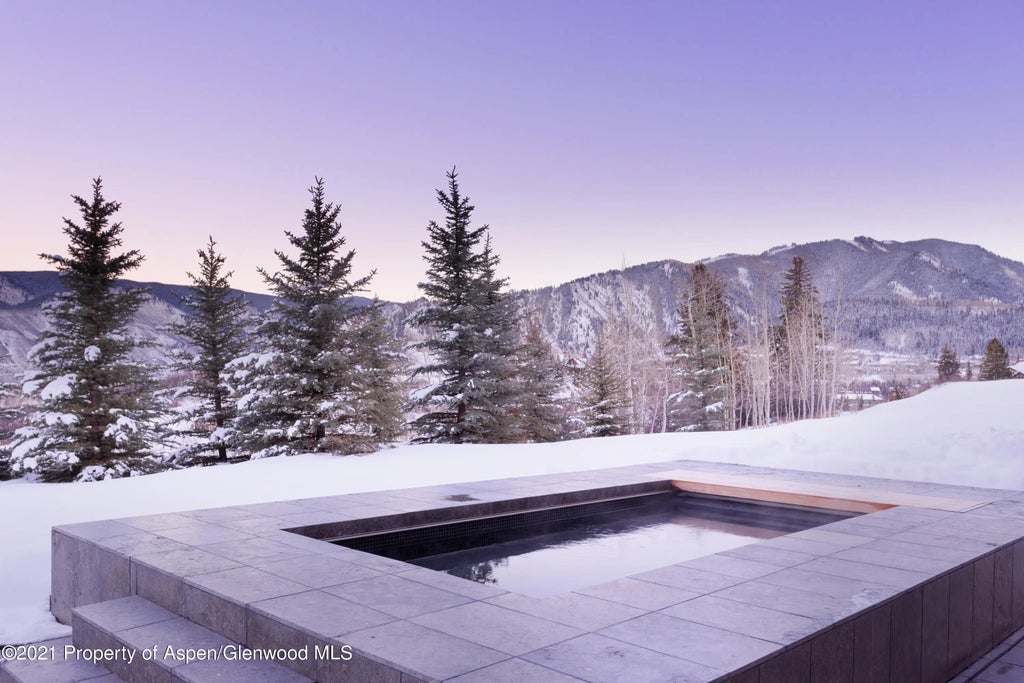 47 of 49 - 651 Pfister Drive, Aspen, CO