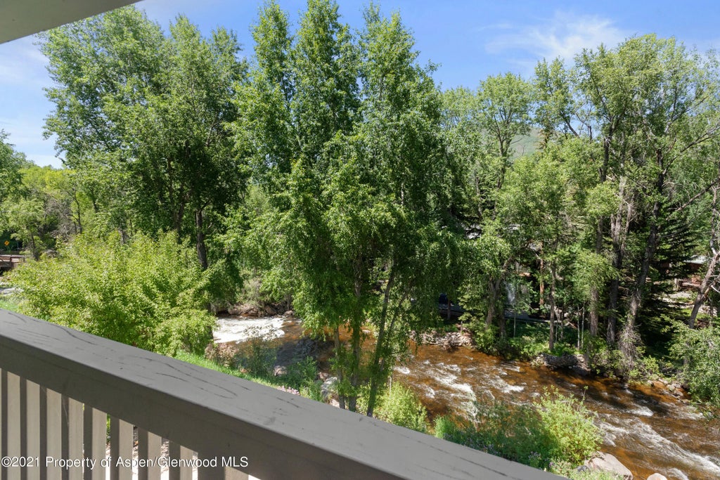 13 of 14 - 916 E Hopkins Avenue 204, Aspen, CO