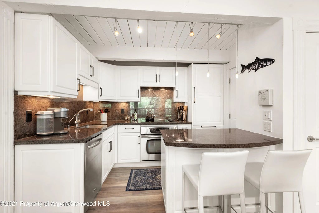 4 of 14 - 916 E Hopkins Avenue 204, Aspen, CO