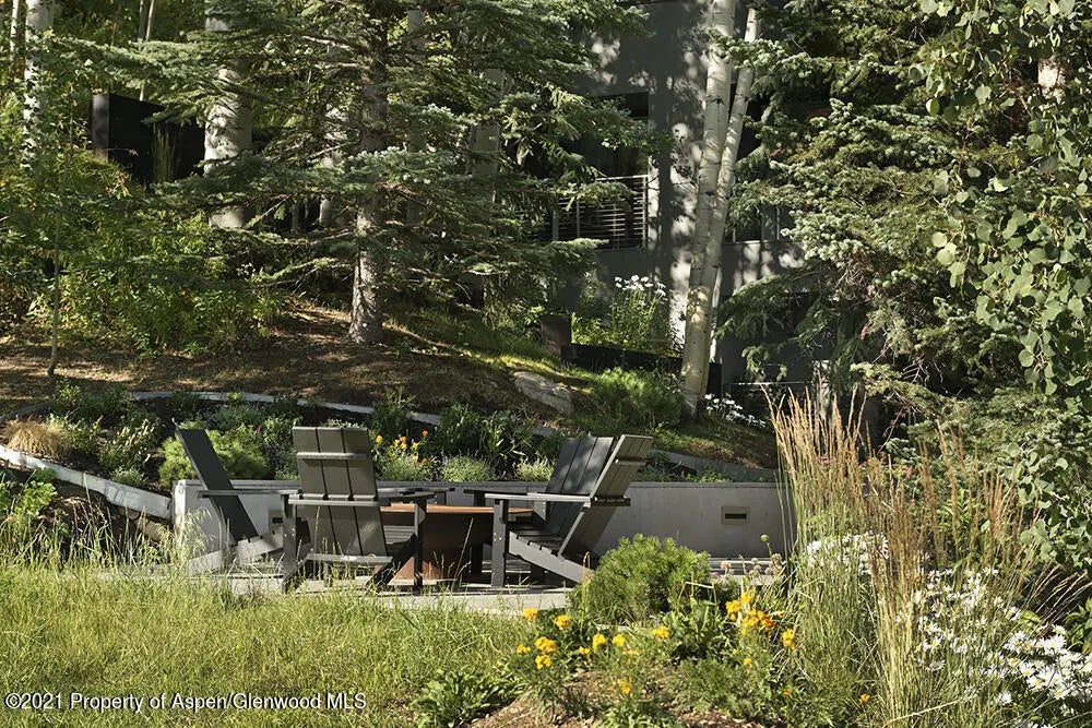 35 of 60 - 546 Edgewood Lane, Snowmass Village, CO