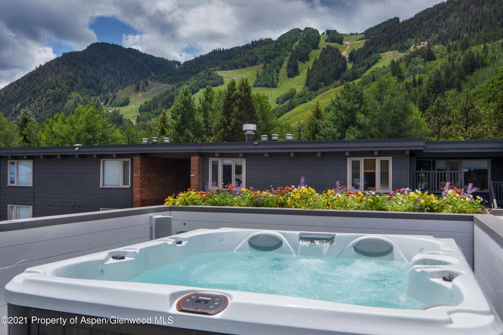 19 of 21 - 210 S 1st Street, Aspen, CO
