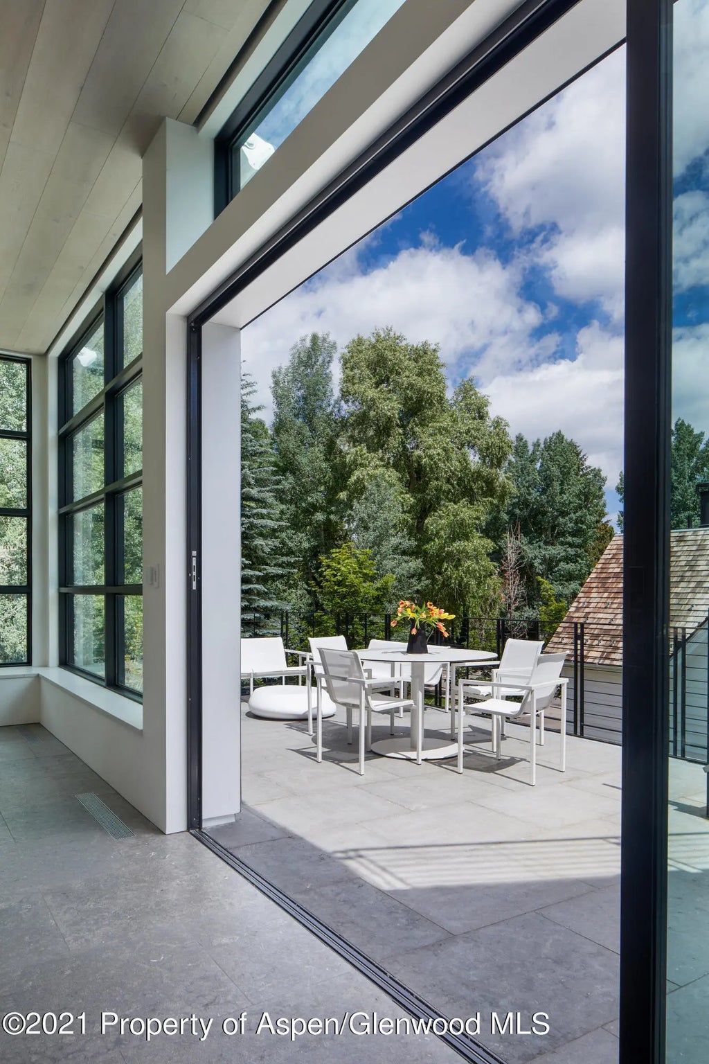 20 of 21 - 210 S 1st Street, Aspen, CO