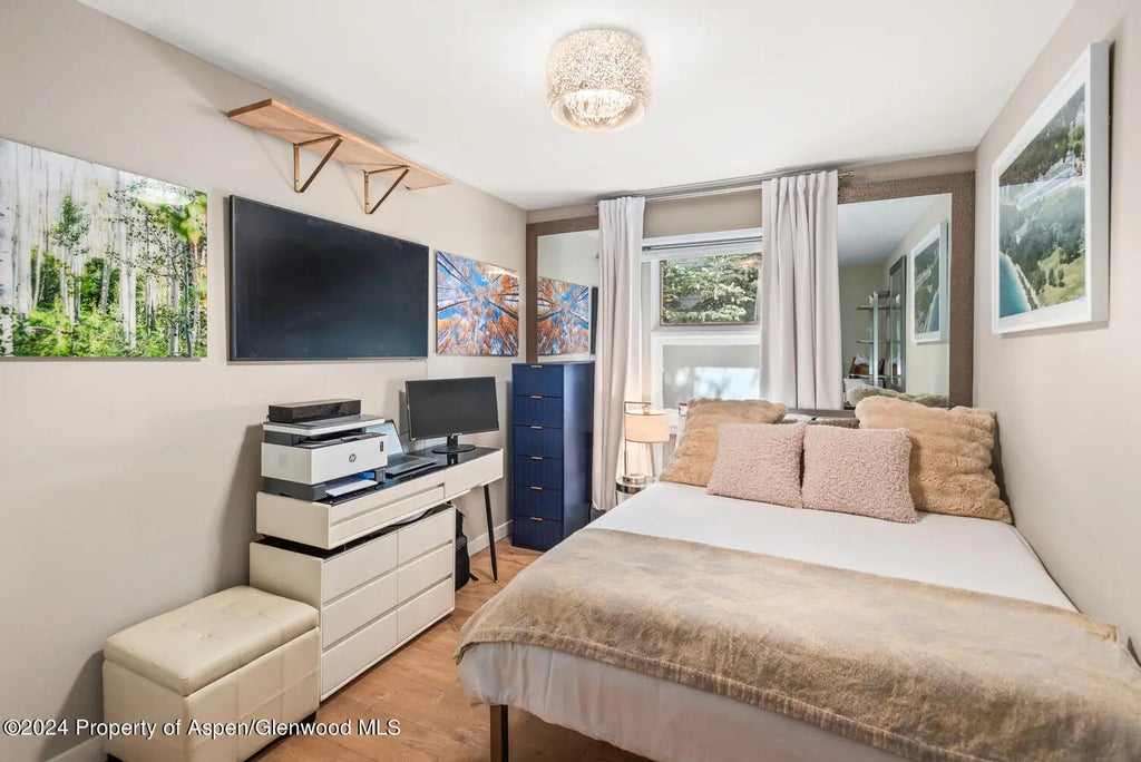 10 of 11 - 250 S Original Street E, Aspen, CO