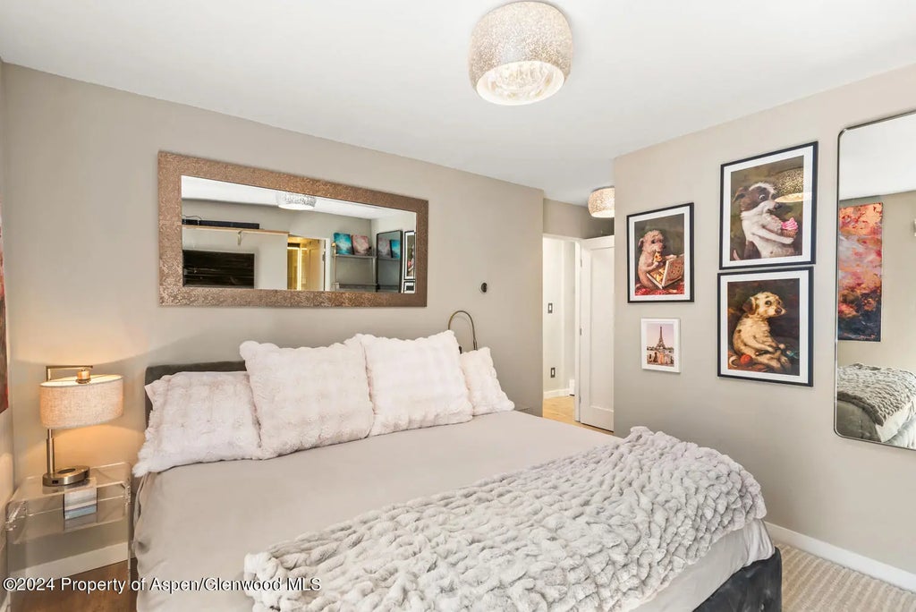 7 of 11 - 250 S Original Street E, Aspen, CO