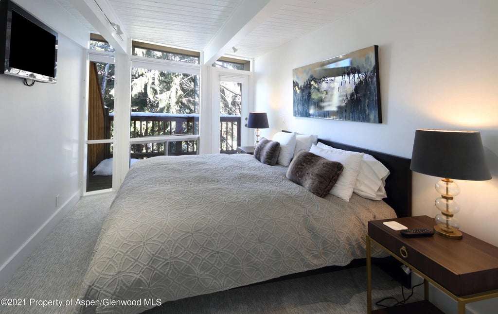 4 of 7 - 803 E Durant Avenue 7, Aspen, CO