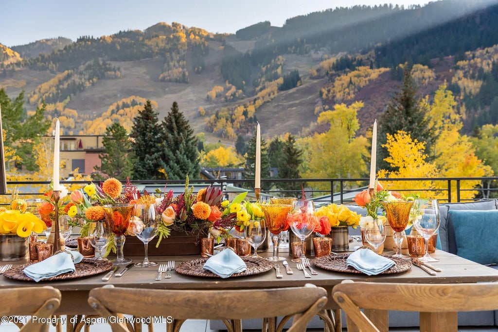 10 of 46 - 200 S Aspen Street, Aspen, CO