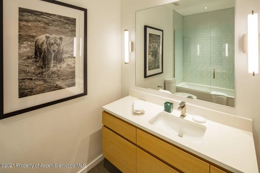 17 of 20 - 1635 Silver King Drive, Aspen, CO