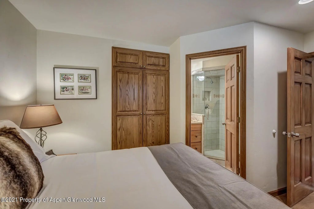 17 of 28 - 650 S Monarch Street 6, Aspen, CO