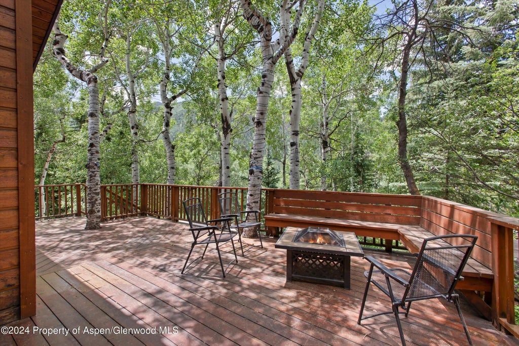 24 of 36 - 314 Mountain Laurel Drive, Aspen, CO