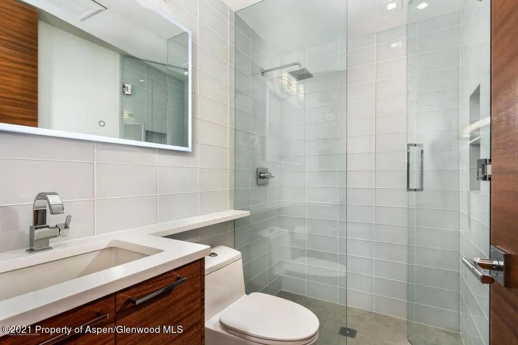 10 of 16 - 205 E Durant Avenue 2j, Aspen, CO