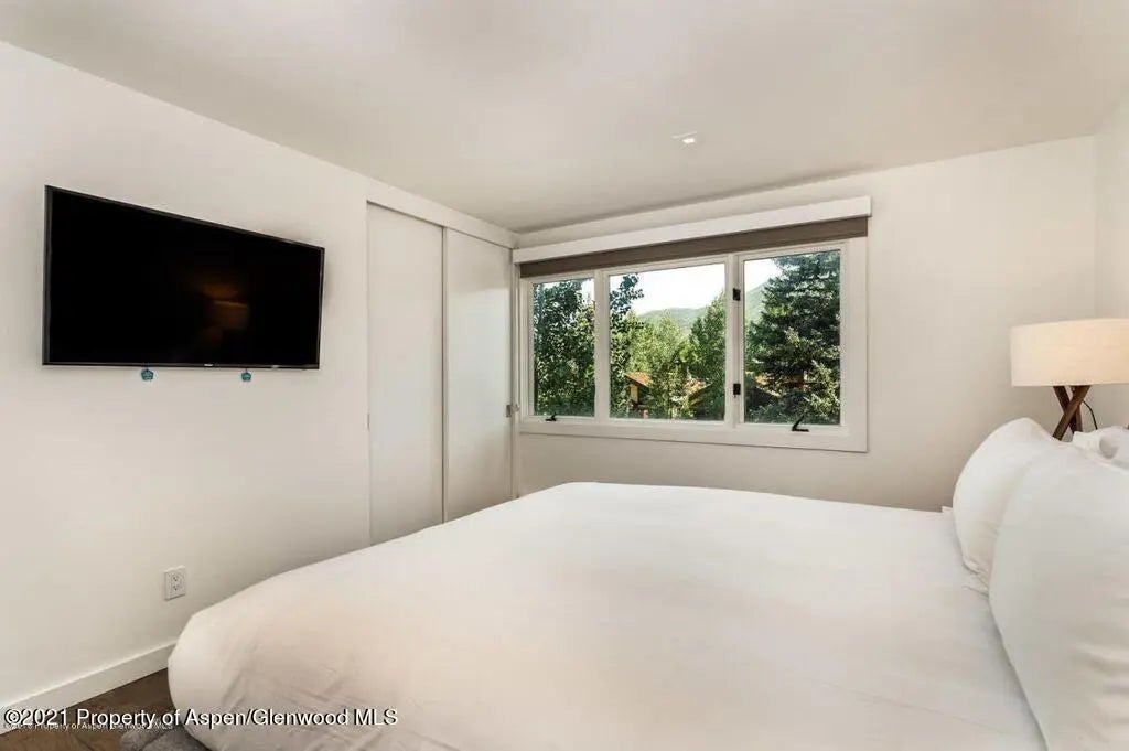 9 of 16 - 205 E Durant Avenue 2j, Aspen, CO