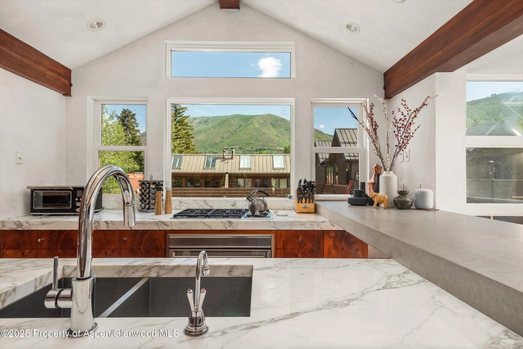 17 of 46 - 706 E Hyman Avenue 706, Aspen, CO