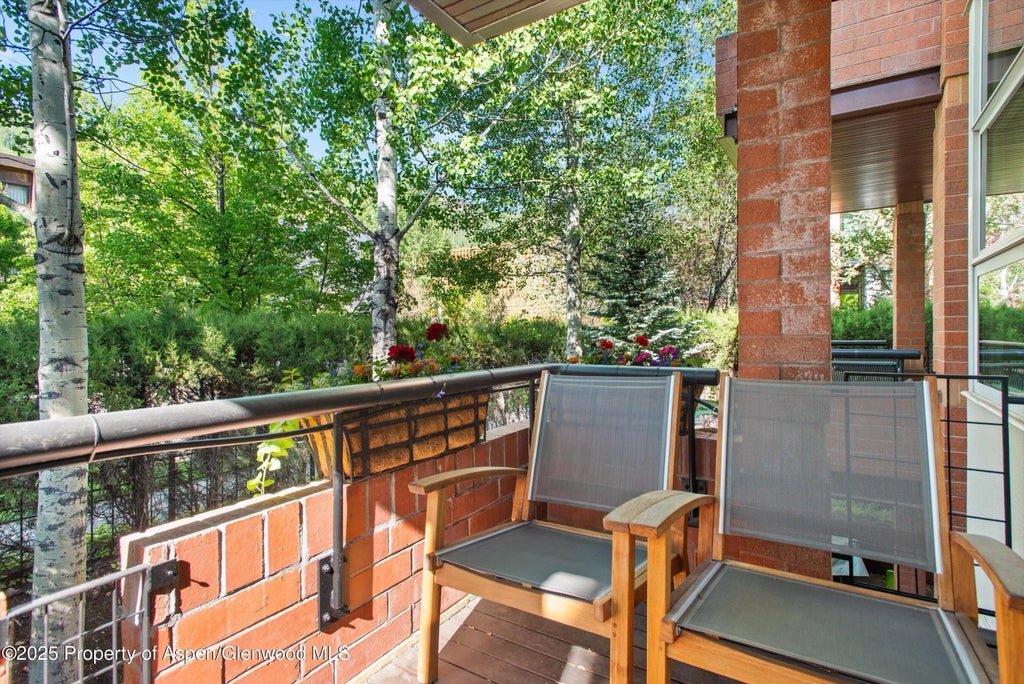 26 of 46 - 706 E Hyman Avenue 706, Aspen, CO