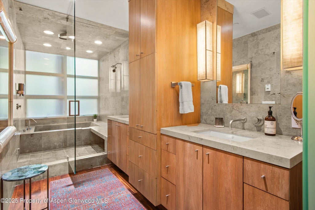 27 of 46 - 706 E Hyman Avenue 706, Aspen, CO