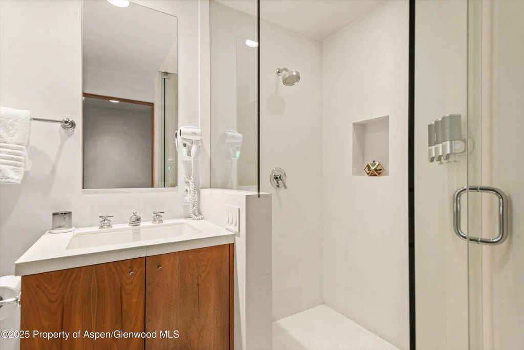 39 of 46 - 706 E Hyman Avenue 706, Aspen, CO