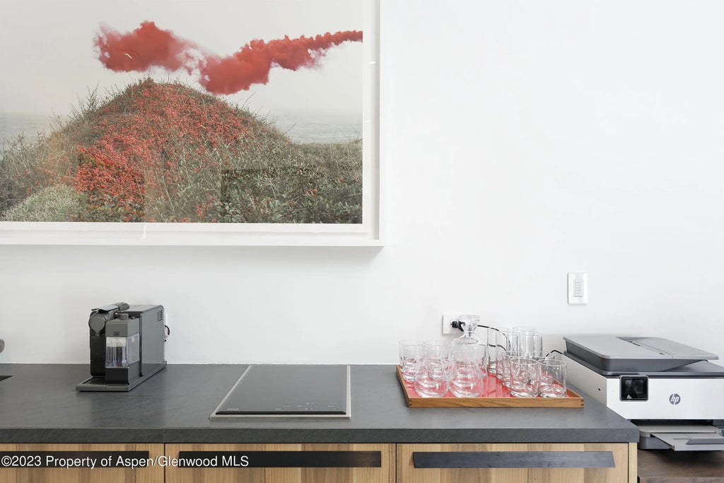 7 of 18 - 324 E Bleeker Street, Aspen, CO