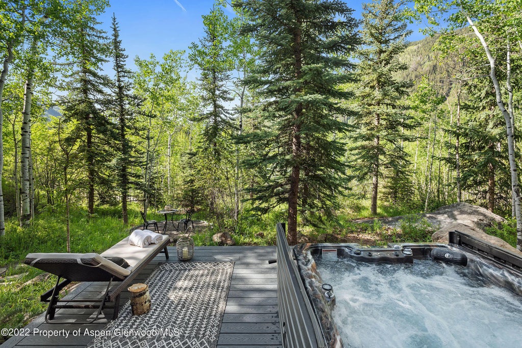 19 of 22 - 122 Eastwood Drive, Aspen, CO