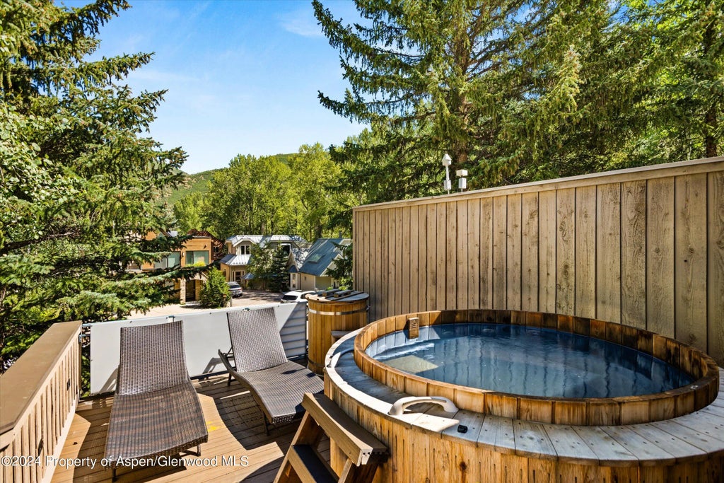 17 of 22 - 1015 E Hyman Avenue #2, Aspen, CO