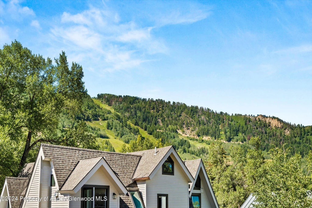 18 of 22 - 1015 E Hyman Avenue #2, Aspen, CO