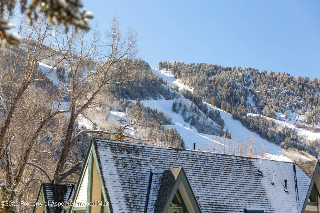 19 of 22 - 1015 E Hyman Avenue #2, Aspen, CO