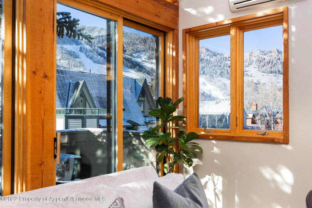 2 of 22 - 1015 E Hyman Avenue #2, Aspen, CO