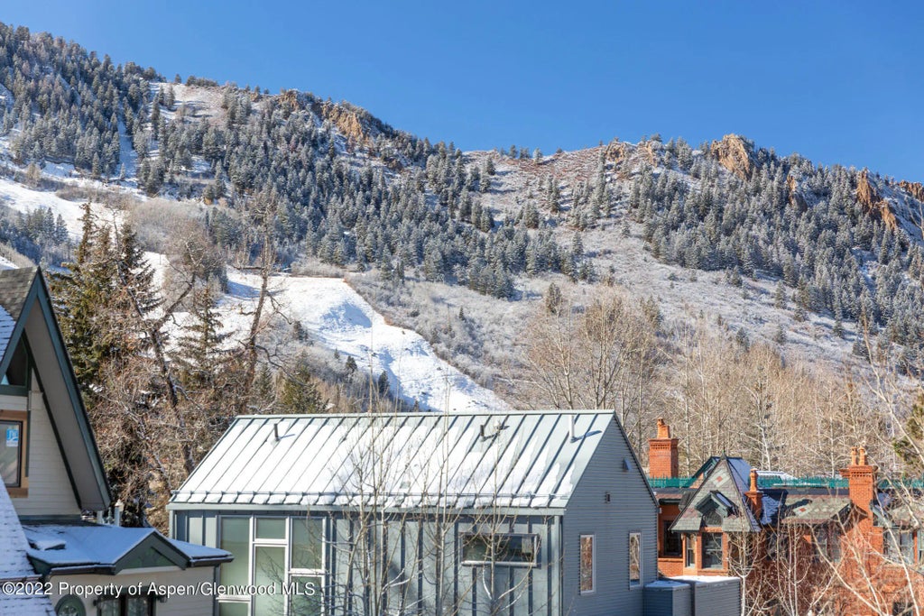 20 of 22 - 1015 E Hyman Avenue #2, Aspen, CO