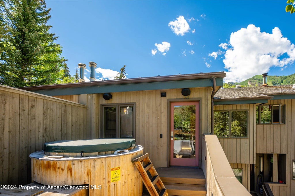 21 of 22 - 1015 E Hyman Avenue #2, Aspen, CO