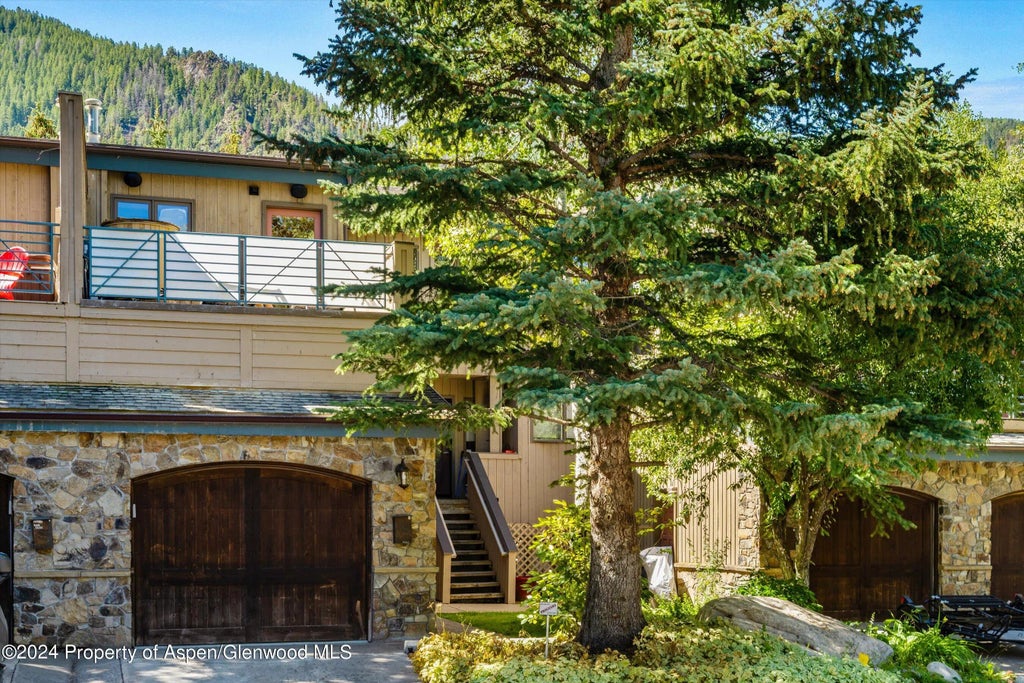 22 of 22 - 1015 E Hyman Avenue #2, Aspen, CO