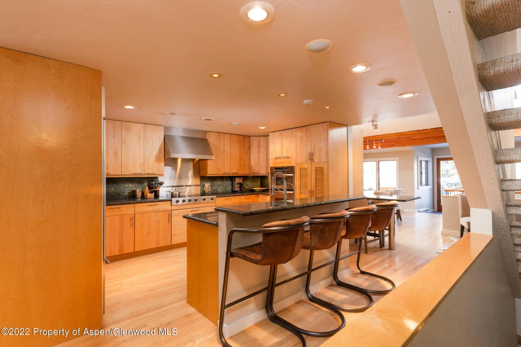 3 of 22 - 1015 E Hyman Avenue #2, Aspen, CO