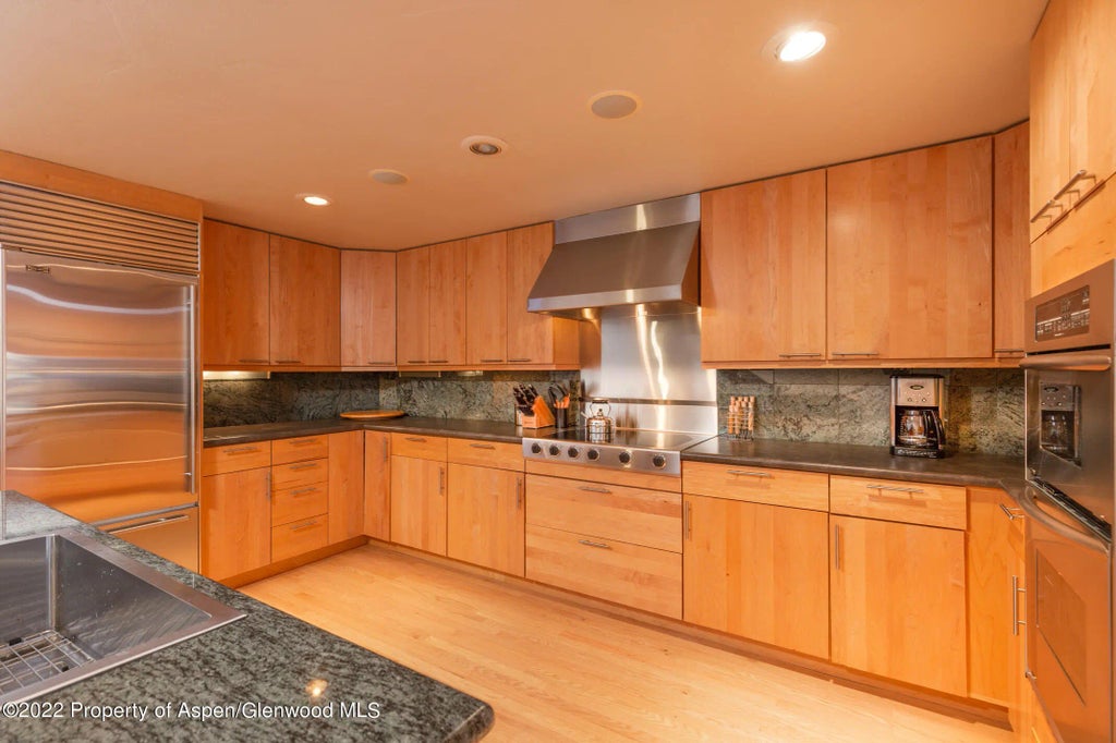 4 of 22 - 1015 E Hyman Avenue #2, Aspen, CO