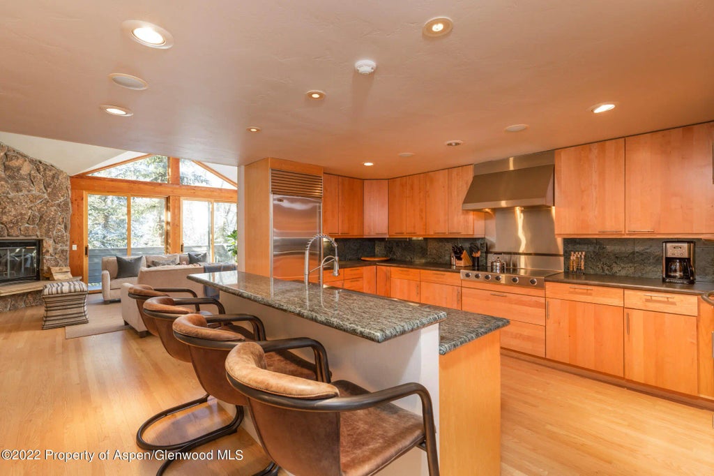 5 of 22 - 1015 E Hyman Avenue #2, Aspen, CO
