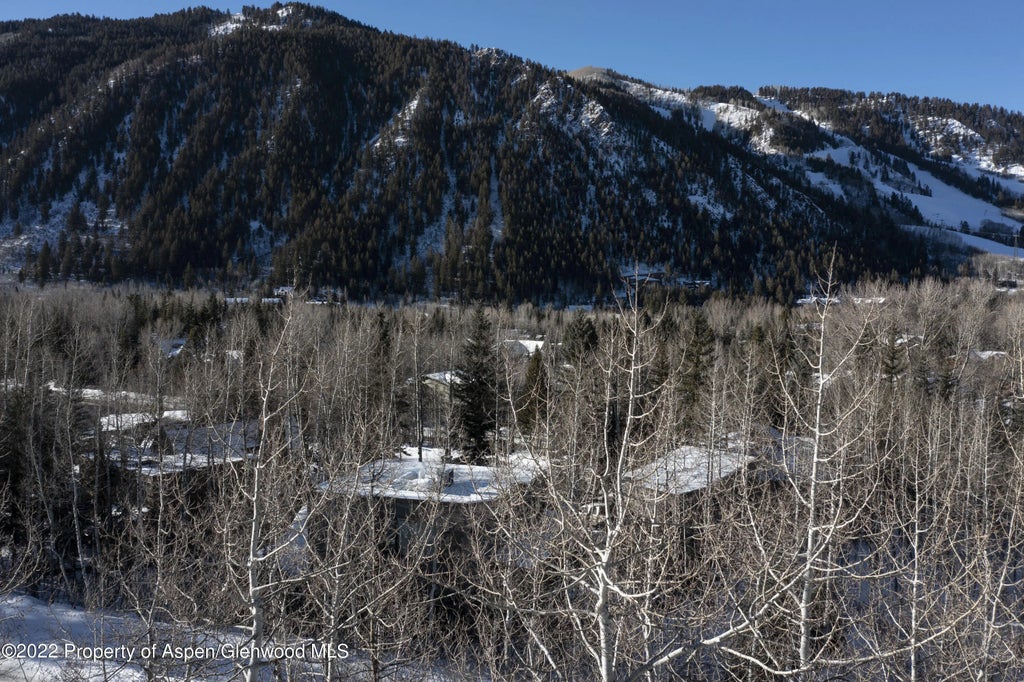 10 of 12 - 96 Mcskimming Road, Aspen, CO