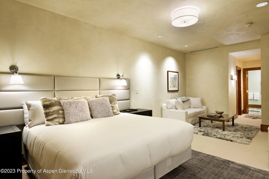 17 of 44 - 428 E Hyman Avenue A, Aspen, CO