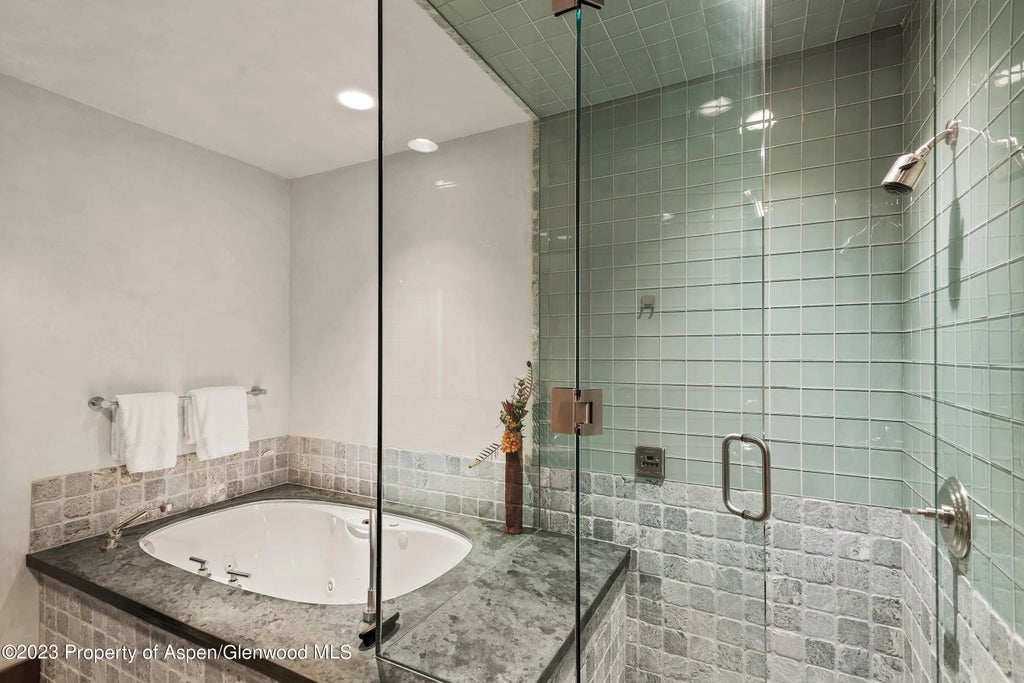 22 of 44 - 428 E Hyman Avenue A, Aspen, CO