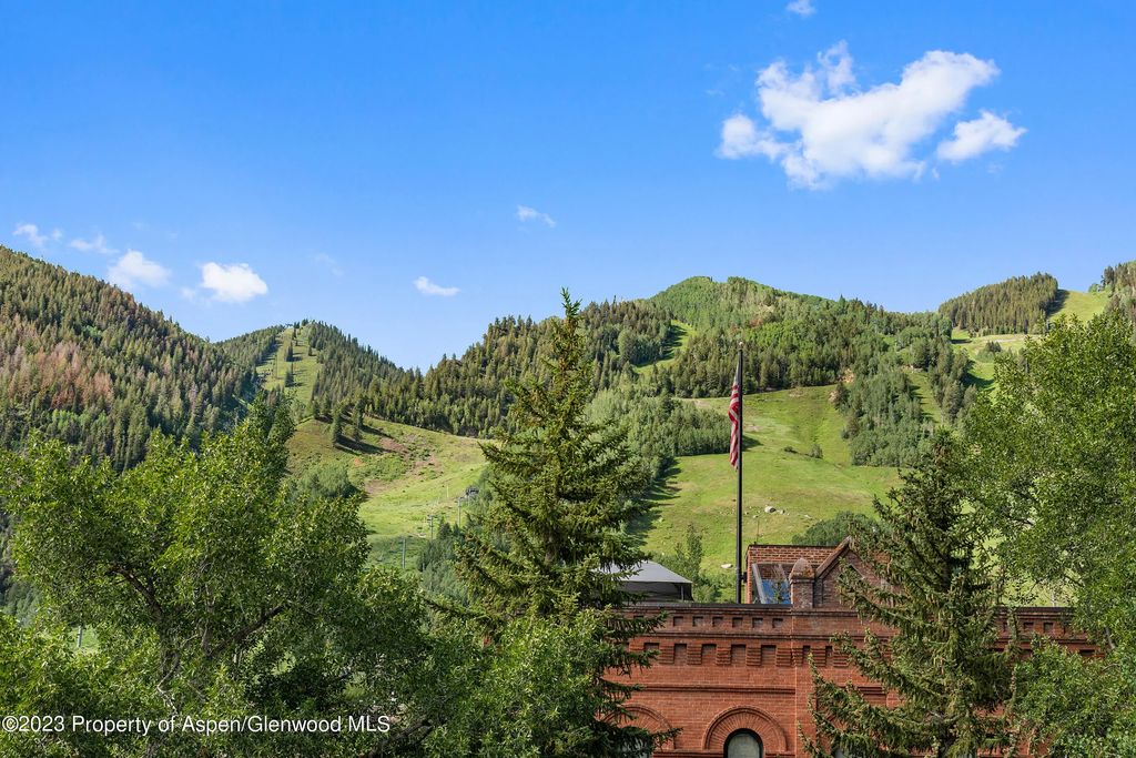 28 of 43 - 428 E Hyman Avenue A, Aspen, CO