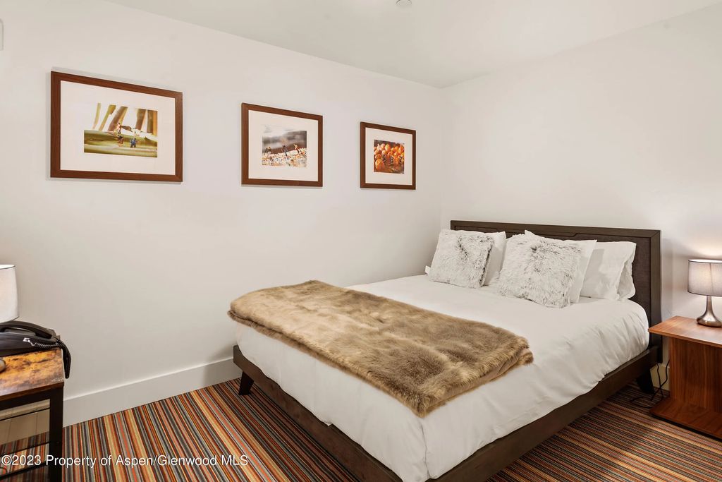 37 of 43 - 428 E Hyman Avenue A, Aspen, CO