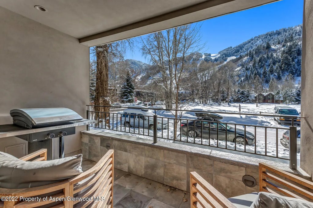 14 of 14 - 104 W Cooper Avenue 3, Aspen, CO