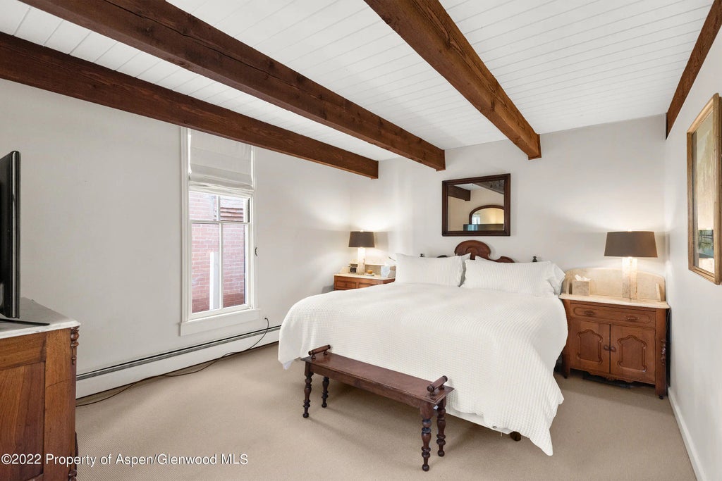 10 of 25 - 123 E Hallam Street, Aspen, CO