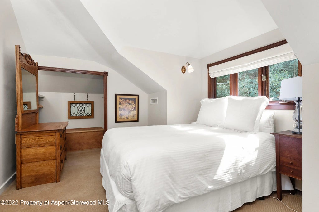 14 of 25 - 123 E Hallam Street, Aspen, CO