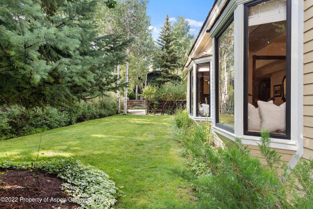 20 of 25 - 123 E Hallam Street, Aspen, CO