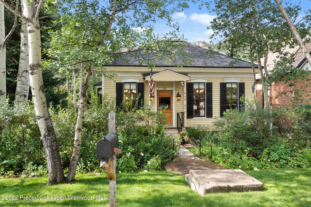 22 of 25 - 123 E Hallam Street, Aspen, CO