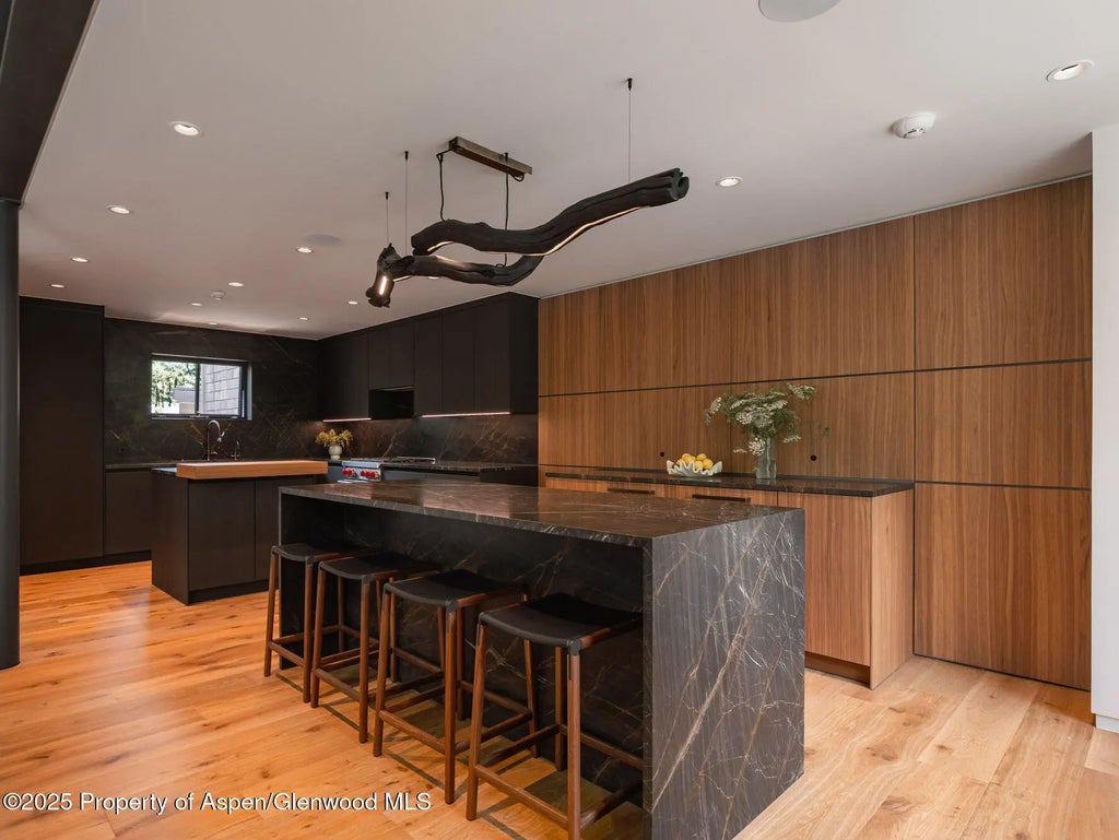 11 of 24 - 624 E Hopkins Avenue, Aspen, CO